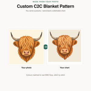 Può includere: Un servizio di schema per coperta C2C personalizzato che mostra un'illustrazione di una mucca highland accanto alla sua versione a grafico pixelato per il punto croce. Il testo include MADE FROM YOUR PHOTO, Custom C2C Blanket Pattern, Your photo, Your chart e Colours matched to real DMC floss, stitch by stitch.