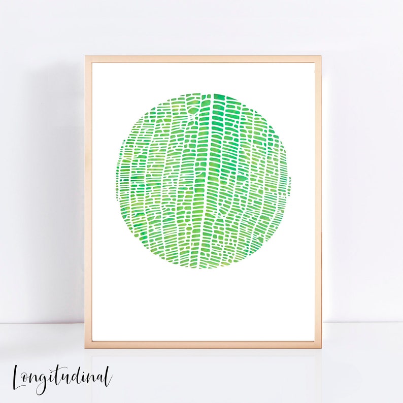 Fine art print set limited edition prints wall art leaf art Etsy