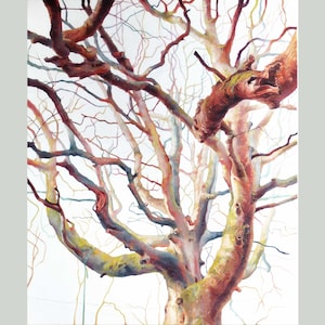 Original art  &quot;Odgers trees 03&quot;