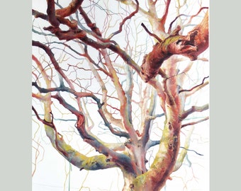 Original art  "Odgers trees 04"