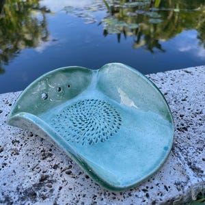 May include: A turquoise ceramic grater with a textured grating surface and a curved design. The grater has a speckled finish and two small holes near the top. The background features a pond.
