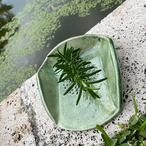 May include: A small, square, pale green ceramic dish with rounded corners, holding a sprig of fresh rosemary. The dish is placed on a textured stone surface, with a body of water and greenery in the background.