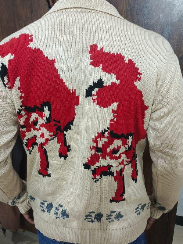 Hand Knit Fox Cardigan Sweater | Project Hail Mary Inspired Zip