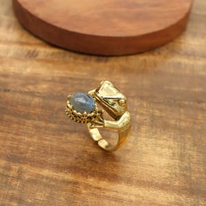 Könnte beinhalten: Ein goldfarbener Ring mit einer Froschfigur, die einen blau-grauen Edelstein hält. Der Frosch hat eine strukturierte Haut und Gesichtszüge. Der Edelstein ist in einer verzierten Fassung gefasst. Der Ring liegt auf einer Holzoberfläche.