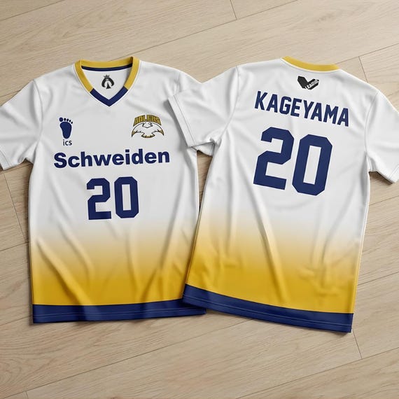 DESCENTE Seisei Volleyball Team シャツ BEACH VOLLEYBALL SWISS