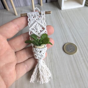 Könnte beinhalten: Miniatur-Makramee-Pflanzenaufhänger mit einem kleinen Topf mit grünen Blättern. Das cremefarbene Makramee ist an einem kleinen Holzstab befestigt. Eine Quaste hängt von unten. Eine Münze liegt neben dem Pflanzenaufhänger.