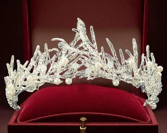 Tiara de copo de nieve invernal – Corona de ramas plateadas con perlas y cristales