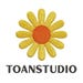 TOAN
