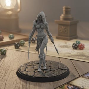 Puede incluir: Figura gris de un personaje femenino de fantasía, sosteniendo dos espadas curvas. La figura está sobre una base de piedra, con un atuendo y capucha detallados. Dados y cartas de juego en el fondo, sugiriendo un tema de juego de mesa.