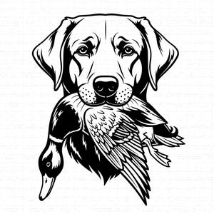 Puede incluir: Ilustración en blanco y negro de un perro Labrador Retriever sosteniendo un pato en la boca. La cabeza del perro está centrada, con la cabeza del pato colgando. Dibujo lineal detallado.
