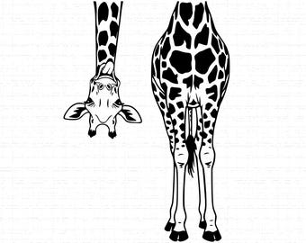 Pode incluir: Ilustração a preto e branco de uma girafa. A imagem mostra a cabeça e o pescoço da girafa de cabeça para baixo, e a vista traseira do corpo da girafa. A girafa tem um padrão de manchas.