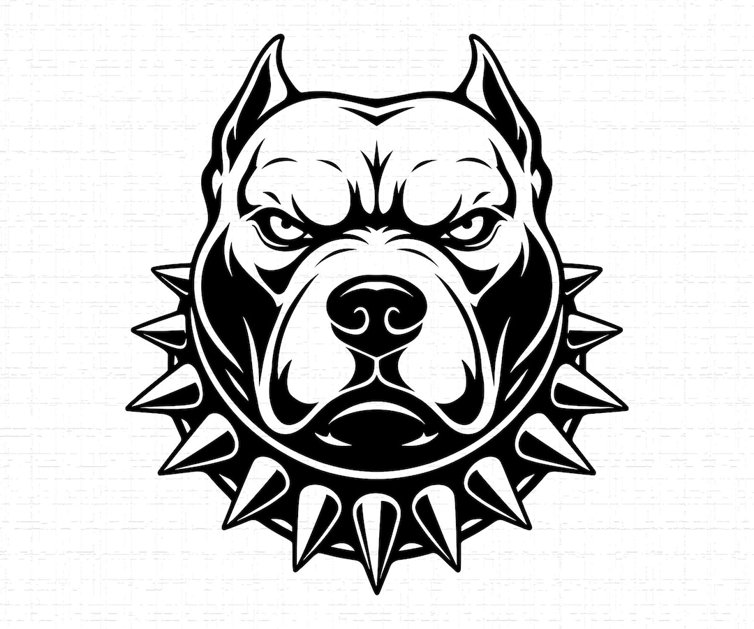 Pitbull Head SVG, PNG, Aggressive Dog Face, Spiked Collar, Pitbull ...