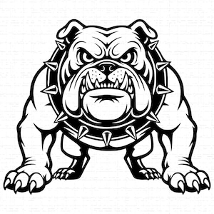Op de afbeelding: Een zwart-wit illustratie van een bulldog met een agressieve uitdrukking. De bulldog draagt een halsband met spikes. De afbeelding is een grafisch ontwerp, waarschijnlijk voor kleding of accessoires.
