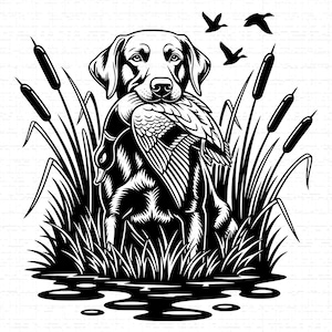 Op de afbeelding: Zwart-wit illustratie van een Labrador Retriever die een eend in zijn bek houdt, omringd door lisdodden en gras. Drie vogels vliegen op de achtergrond. Een jacht- of buitenthema.
