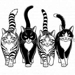 Vier gehende Katzen SVG: Katzenmama, Kitty, süße Katzen-T-Shirt-Design, Katzen Silhouette, Kunst, Schnittdatei, SVG, PNG, Sofort Download