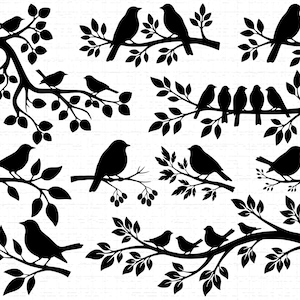 May include: A selection of black silhouette images of birds perched on tree branches with leaves. The birds vary in size and pose, and the branches are arranged in different configurations. The background is white.