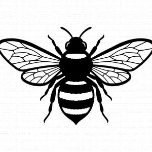May include: A monochrome illustration of a bee. The bee features detailed wings, antennae, and a striped abdomen. This graphic design is suitable for various applications.