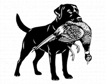 Labrador Retriever With Pheasant SVG: T-Shirt Design, Hunter Gift, Pheasant Hunting, Cut Files, SVG, PNG, Instant Download