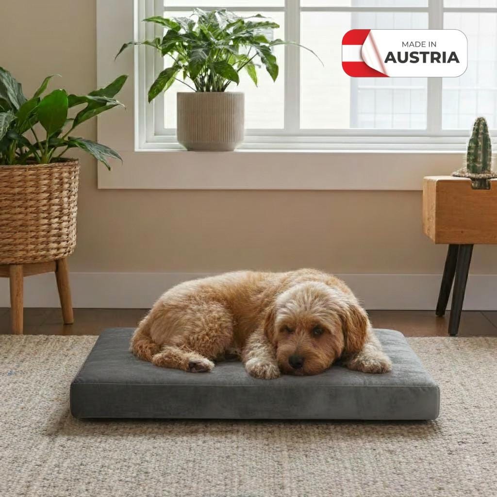 Abwaschbares hundebett - Etsy.de