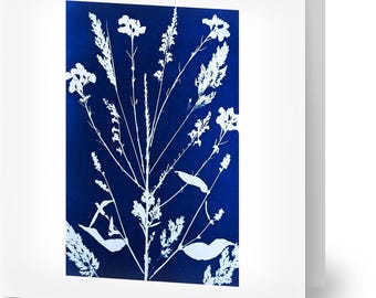 Projekt cyjanotypii botanicznej - zestaw 10 kart