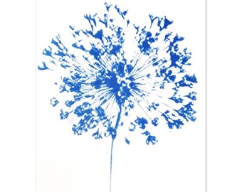 Cyanotype Allium design - Classic Semi-Glossy Paper Poster