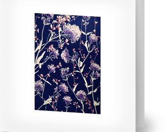 Diseño botánico de cianotipia y acuarela: paquete de 10 tarjetas