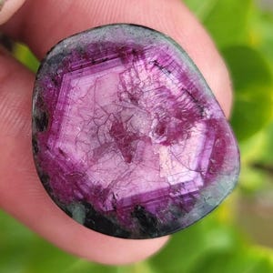 May include: A polished gemstone with a vibrant magenta interior and a dark green and black outer edge. The stone's surface displays a geometric pattern, with visible lines and textures. The gem is held between fingers against a blurred green background.