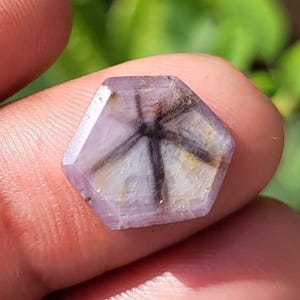 May include: A hexagonal, light purple gemstone with a star-like pattern of dark lines radiating from the center. The gem is held between fingers, with a blurred green background.
