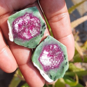 Pode incluir: Duas pedras de rubi brutas, com um centro rosa vibrante e uma camada externa verde, são seguradas em uma mão. As pedras têm uma textura áspera e natural, e a camada verde tem manchas pretas.