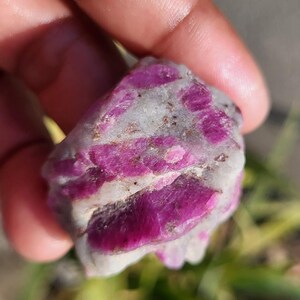 Può includere: Una gemma di rubino grezza, che mostra un mix di tonalità rosa intenso e bianco. La pietra naturale ha una struttura cristallina e un aspetto grezzo e non lucidato, che mostra la sua bellezza naturale. Il rubino è tenuto in una mano.