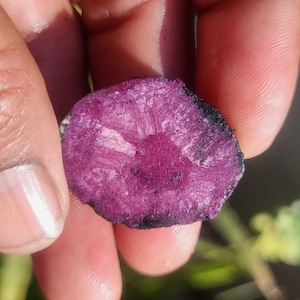 May include: A close-up of a raw, uncut gemstone held between fingers. The stone is a deep magenta color with a dark, almost black, outer edge. The center of the stone has a darker, more concentrated hue, with visible crystalline structures.