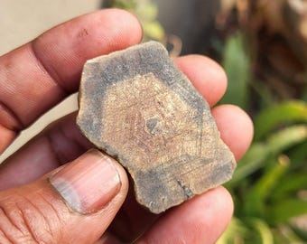 May include: A hand holds a piece of raw, natural stone. The stone is a mix of dark gray and gold, with a geometric pattern in the center. The edges are rough and uneven, giving it a natural, organic look.