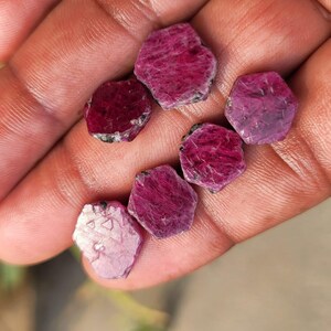 May include: A collection of rough-cut ruby gemstones, each displaying a deep red hue with natural textures. The gemstones vary slightly in size and shape, with some showing hints of lighter pink tones. The gems are held in a hand.