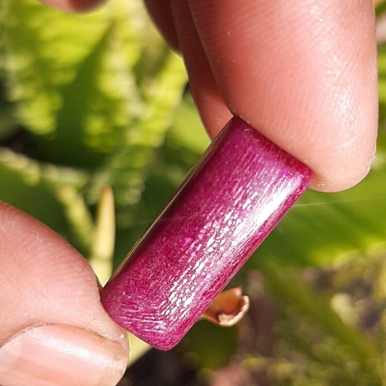 May include: A rectangular, polished, deep magenta gemstone is held between fingers. The stone has a smooth, glossy surface with visible wood grain-like patterns. The background is blurred green foliage.