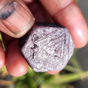 May include: A faceted, purplish-pink gemstone with a textured surface. The gem has a dark, almost black, outer layer. The stone is held between fingers, with a blurred green background.