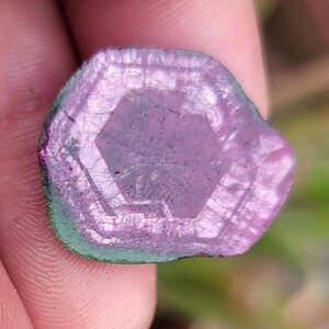 May include: Close-up of a watermelon tourmaline gemstone. The stone has a hexagonal shape with a pink centre and a green outer edge. The gemstone is held between fingers.