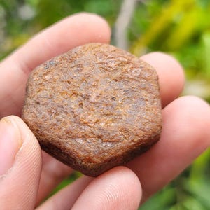 Raw Ruby Crystal - Record Keeper Corundum Gemstone