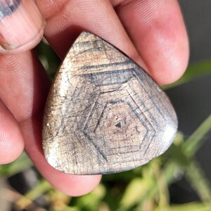 May include: A triangular, polished gemstone with a unique pattern. The stone features a central, six-sided design with radiating lines in shades of brown and gray. The gemstone is held in a hand, with green foliage in the background.