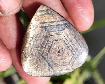 Pode incluir: Uma pedra preciosa triangular polida com um padrão único. A pedra apresenta um design central hexagonal com linhas radiais em tons de castanho e cinza. A pedra preciosa é segurada em uma mão, com folhagem verde ao fundo.