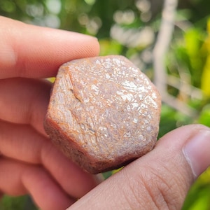 Raw Ruby Crystal - Record Keeper Corundum Gemstone