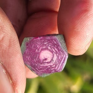Pode incluir: Um close-up de uma pedra preciosa com um padr&atilde;o marcante. A pedra apresenta c&iacute;rculos conc&ecirc;ntricos de rosa intenso e branco, com uma borda verde. A pedra preciosa &eacute; segurada entre os dedos, mostrando sua estrutura interna &uacute;nica e varia&ccedil;&otilde;es de cor.