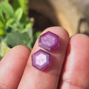 May include: Two hexagonal, faceted gemstones with a deep magenta hue are held between fingers. The gems have a lighter, almost white, center. The background is blurred, with green foliage visible.