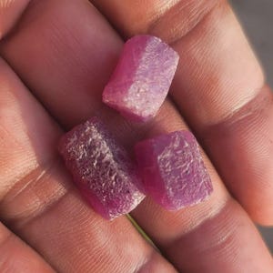 May include: Three rough-cut, pink ruby gemstones. The raw crystals have a textured surface and varying shades of pink. The gemstones are held in a hand, showcasing their natural, unpolished state.