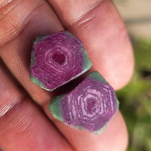 Può includere: Due gemme grezze con un centro magenta intenso e un bordo verde. Le gemme hanno un motivo geometrico e sono tenute in una mano, con uno sfondo verde sfocato.
