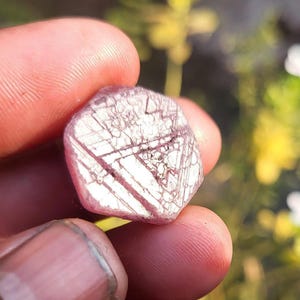 May include: A pink gemstone with a faceted surface and intricate internal patterns. The gem is held between fingers, with a blurred green and white background. The stone's surface has a network of intersecting lines and a slightly translucent appearance.