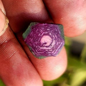 Pode incluir: Close-up de uma gema hexagonal. A pedra apresenta an&eacute;is conc&ecirc;ntricos em tons de roxo escuro e rosa, com bordas verdes. A gema &eacute; segurada entre os dedos, mostrando sua intrincada estrutura interna.