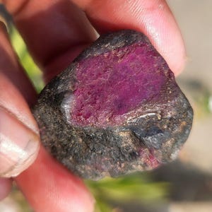 May include: A raw ruby gemstone, displaying a rich magenta core and a dark, almost black outer layer. The stone is held in a hand, highlighting its natural, unrefined texture and intense colour.