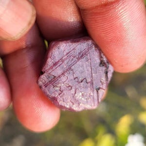 Puede incluir: Una gema de rubí en bruto, sin cortar, de un tono rojo-púrpura intenso. La superficie muestra texturas y estrías naturales, con una forma hexagonal ligeramente irregular. La gema se sostiene entre los dedos.