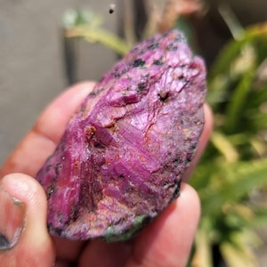 May include: A raw ruby gemstone, displaying a rich pink-red colour. The surface has a textured, crystalline appearance with dark inclusions. The natural stone is held in a hand, with a blurred green background.
