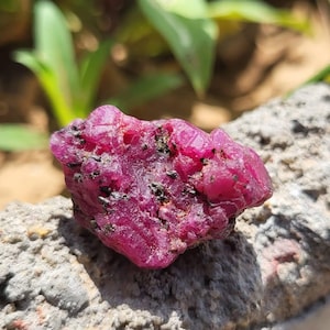 May include: A raw, unpolished ruby gemstone, displaying a deep pink colour and dark flecks. The ruby sits on a grey, textured rock, with green leaves in the background. The gemstone has a crystalline structure and a natural, unrefined appearance.